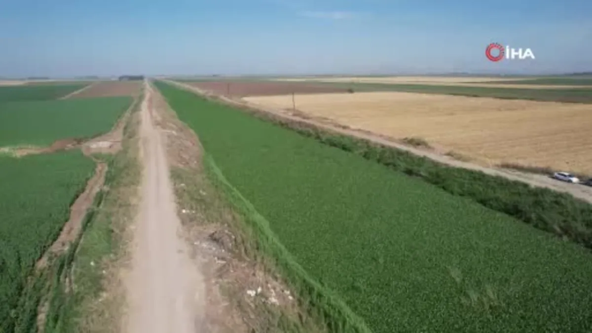 Asi Nehri'ni adeta görülmez hale getirdi