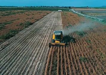 Son dakika: TMO'dan üreticiye ve tüketiciye güvence