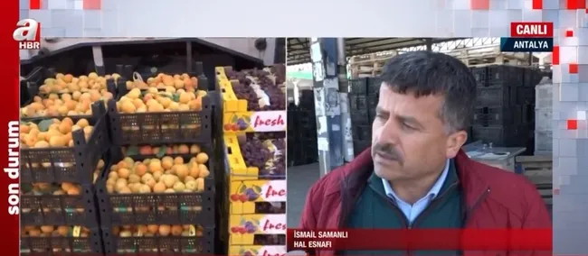 Sebze ve meyve fiyatlarında düşüş! Antalya halinde fiyatlar bir haftada yarı yarıya düştü