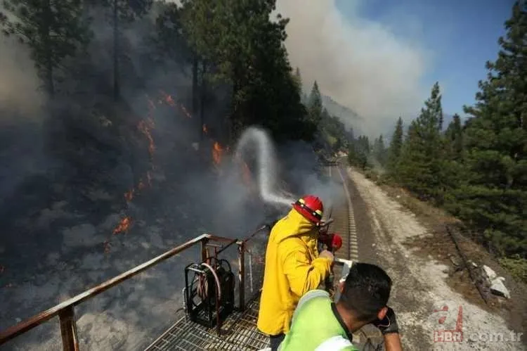 ABD'de dev orman yangını! 85 kilometrekarelik alan alevlere teslim 14