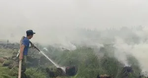 1 milyon hektardan fazla alan kül oldu