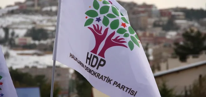 HDP Sözcüsü Baydemir hakkında terör fezlekesi
