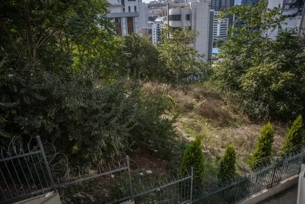 CHP’li İBB 175 milyonluk ihale ile bir parkı daha yok edecek