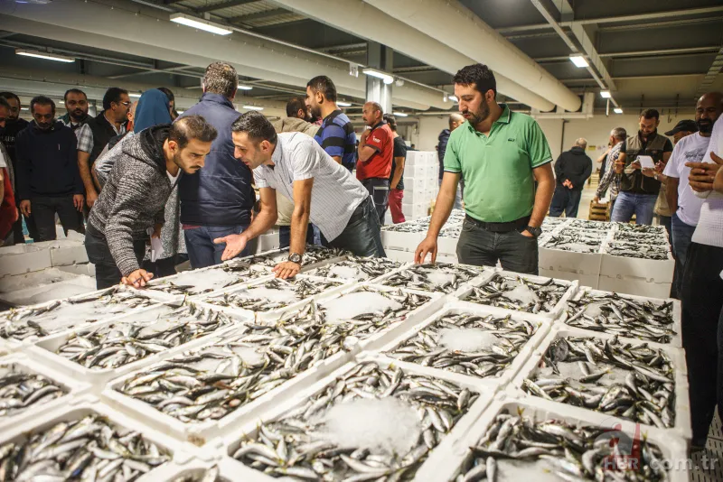 Balık fiyatları ne zaman düşer | Halden tezgaha bölge bölge fiyatlar değişiyor 18
