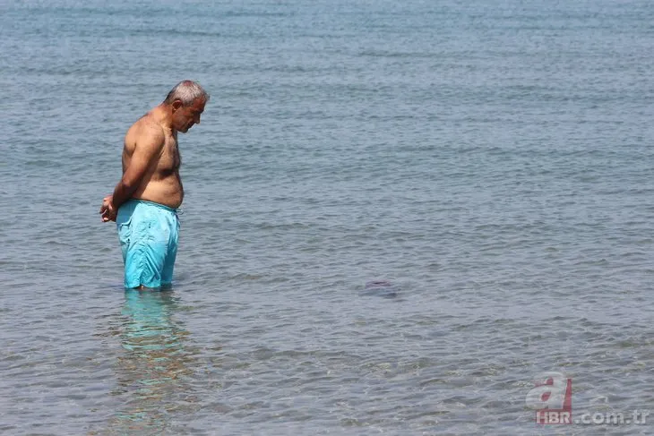 Dünyanın en zehirli türlerinden! Tekirdağ sahillerinde görüldü