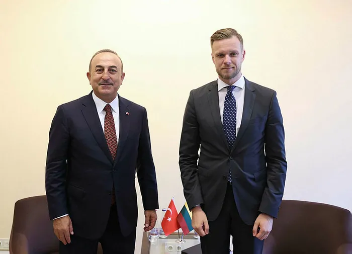 Litvanya Türkiye’den yardım istedi - 2
