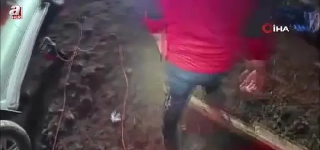 Artvin'de çöken ahırda mahsur kalan 33 büyükbaş hayvan kurtarıldı