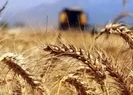 Türkiye öncü oldu! Dünya rahatladı
