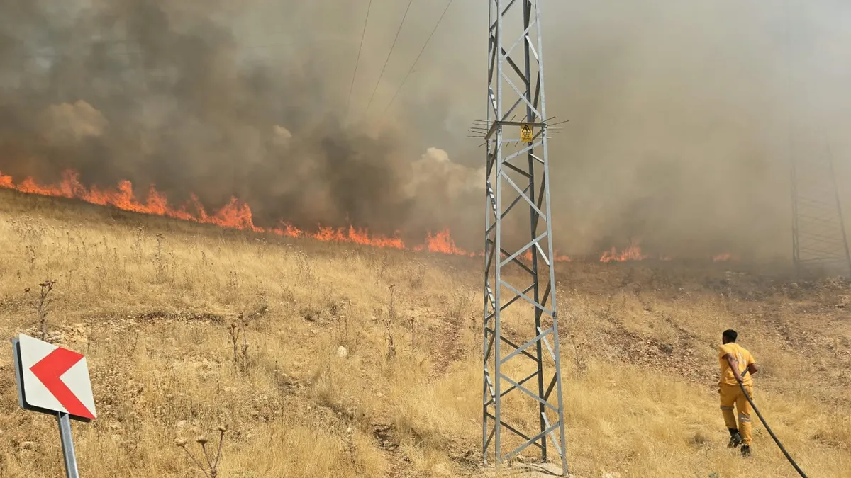 Diyarbakır’da korkutan örtü yangını! Yaklaşık 400 dönüm alan küle döndü: Yerleşim yerlerini tehdit eden...