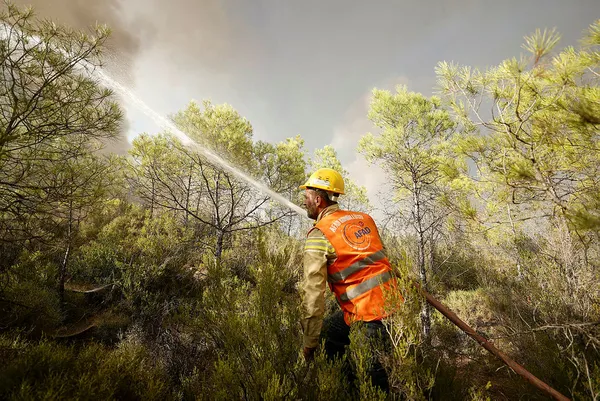 Başkan Recep Tayyip Erdoğan’dan ortak yayında A Haber’e özel son dakika açıklamaları