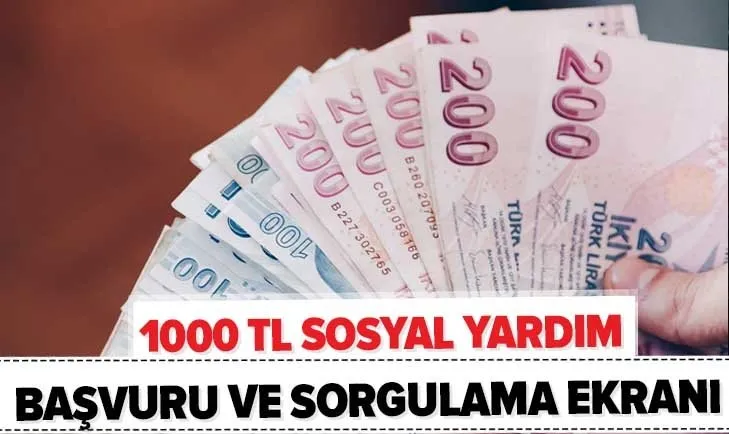 Pandemi destek başvurusu sonuçları sorgulama! e-Devlet 1000 TL sosyal yardım başvuru nasıl yapılır?