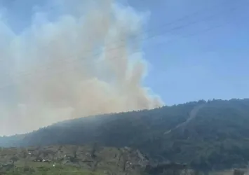 Çanakkale'de orman yangını