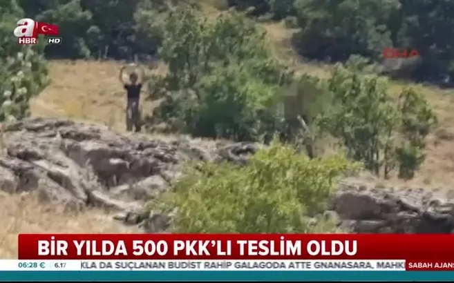 Terör operasyonlarında büyük başarı! Bir yılda 500 PKK'lı teslim oldu aranan 235 PKK'lı öldürüldü
