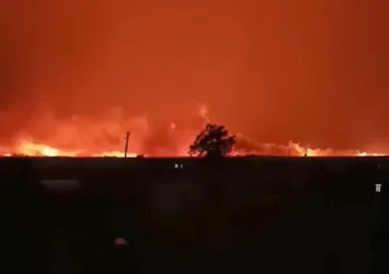 Şanlıurfa'da arazi yangını! Alevler rüzgarın etkisiyle yükseldi