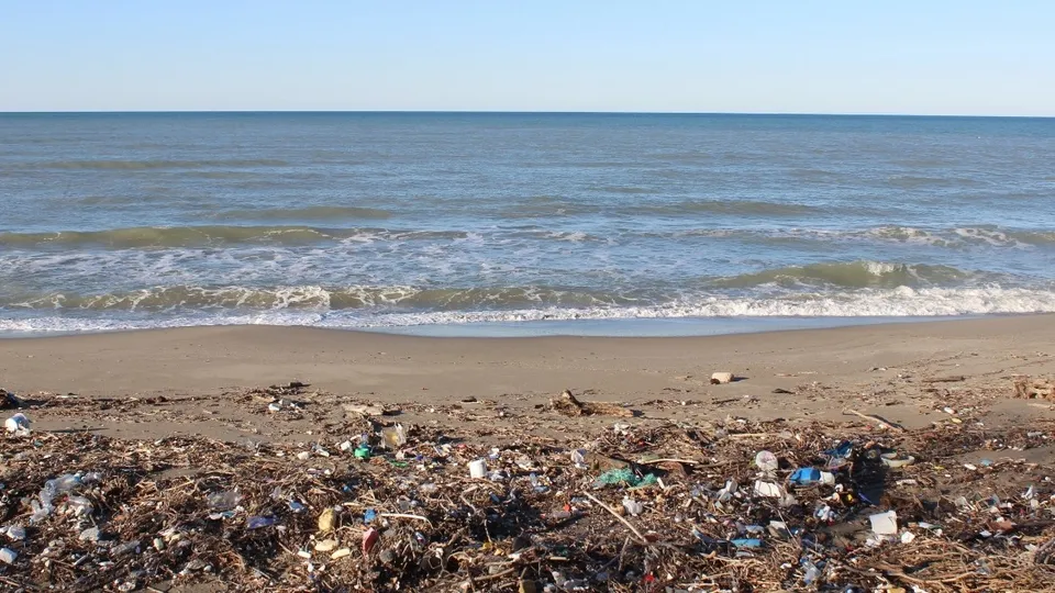 Sinop’ta kıyıya ceset vurdu