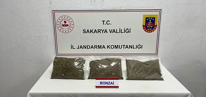 Sakarya'da bir evde 2,5 kilo bonzai bulundu