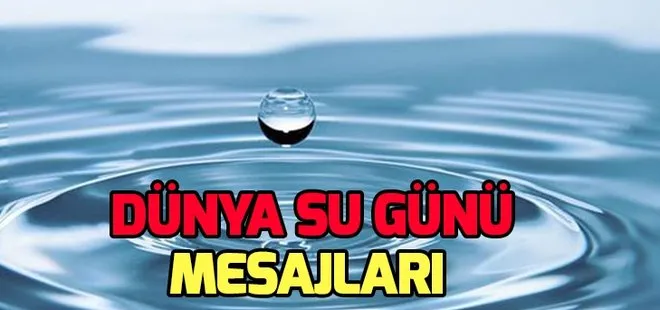 Dünya Su Günü nedir, nasıl ortaya çıktı? 22 Mart Dünya Su Günü etkinlikleri neler?