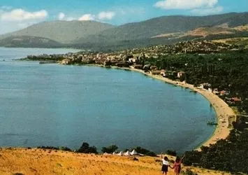 Resifler balık popülasyonunu arttırdı
