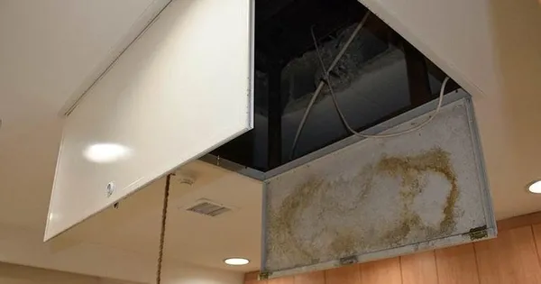 la-casa-de-papel-istanbul-cay-icerken-soygun-plani-yapti-1685509379156.jpeg La Casa de Papel İstanbul! Çay içerken soygun planı yaptı - 3