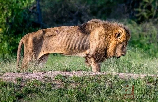 Bilim insanları geliştirdi! Artık uzaydan sayılabilecekler