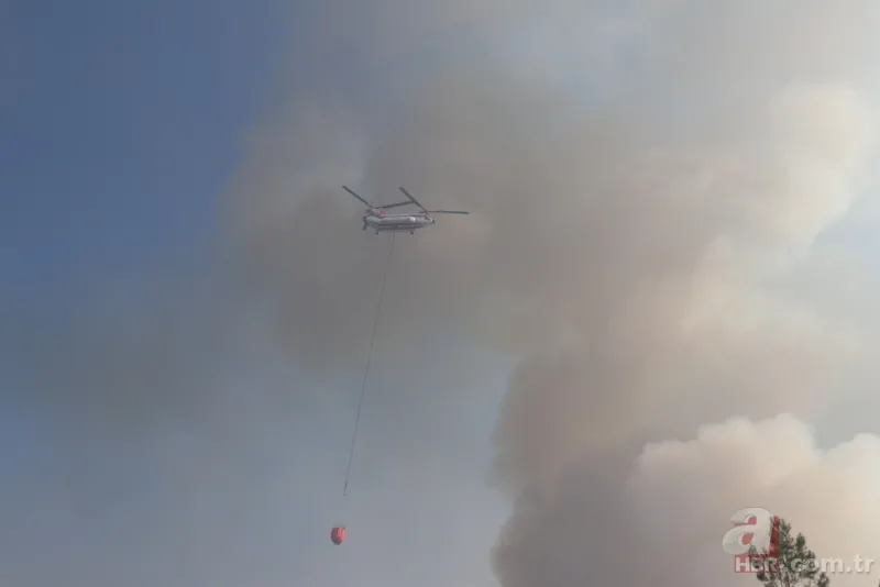 Antalya, Adana, Marmaris, Mersin, Muğla, Osmaniye ve Kayseri'deki orman yangınlarına müdahale ediliyor! Kahreden görüntüler 3