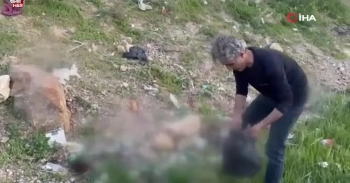 Alkol şişeleri tarihi gölgede bıraktı