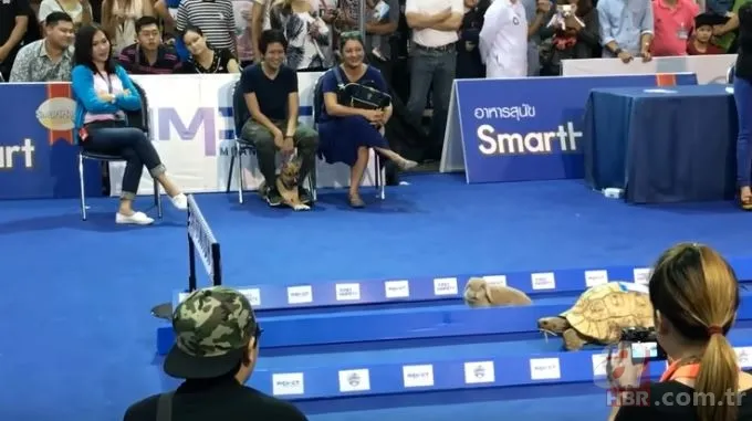 la fontaine hakli cikti