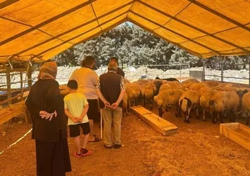 İstanbul'da bayramın 3. gününde kurbanlık alma telaşı sürdü