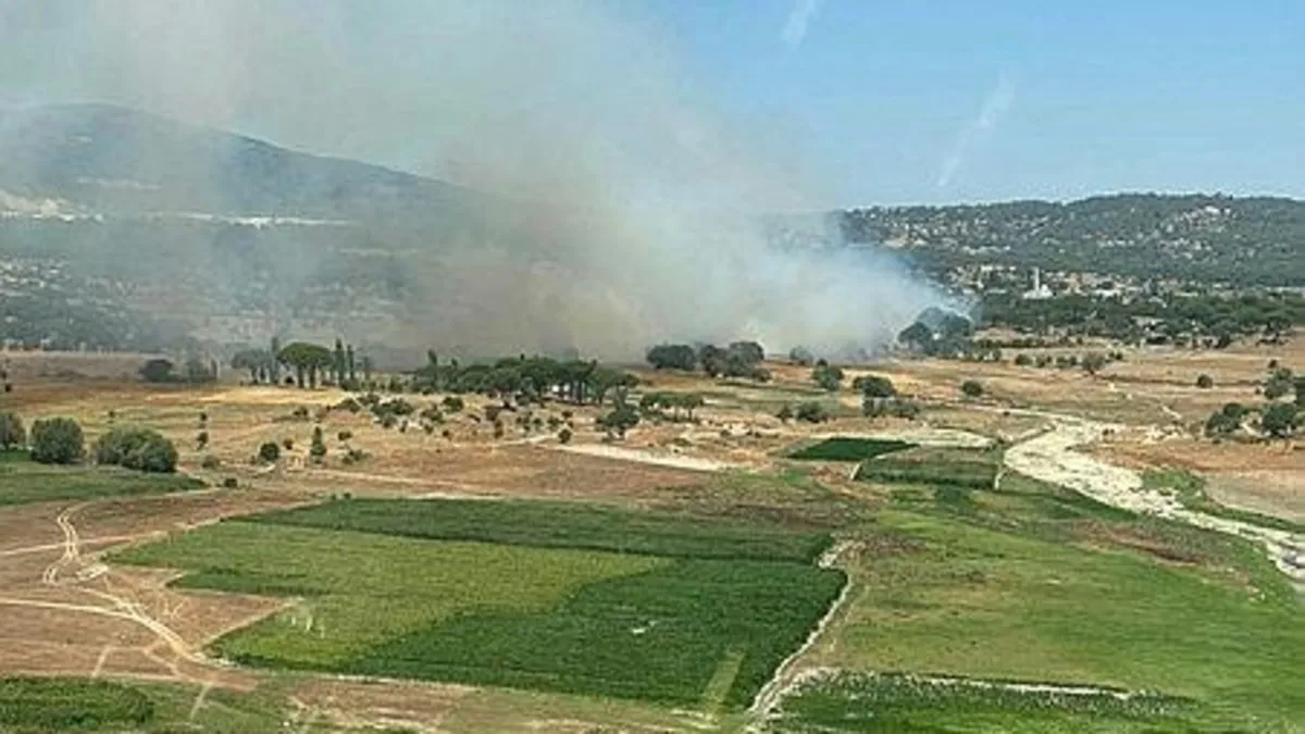 Muğla'nı Milas ilçesinde ikinci orman yangını! Alevler söndürüldü