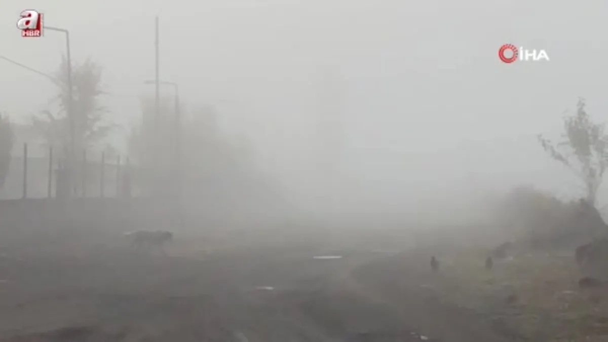 Iğdır’da yoğun sis
