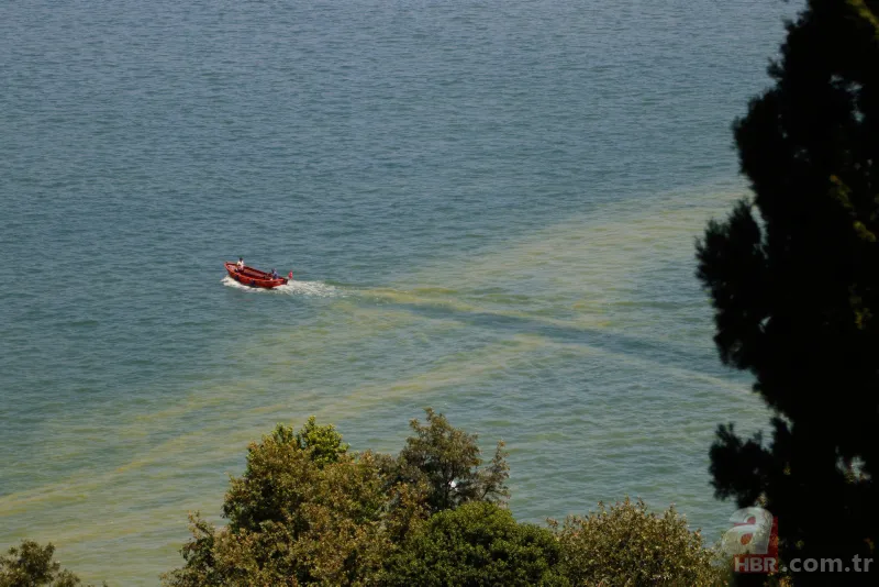 Fethiye Körfezi'nde alarm! Sarı ve yeşile büründü 10