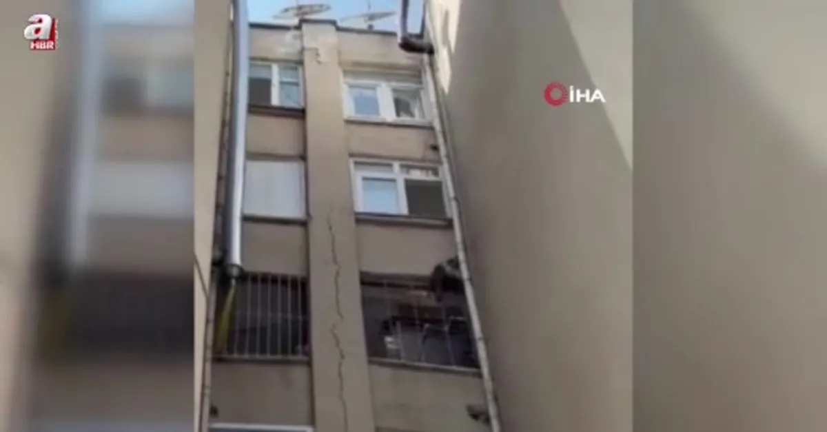 Firar eden maymunun güvercin avı kamerada