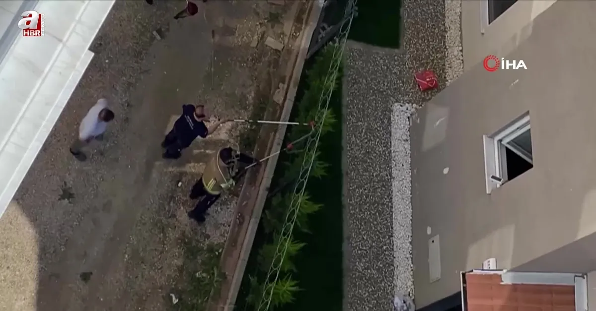 Camlardan tedirgin gözlerle izlediler! Tellere dolanan 1,5 metre boyundaki yılan korkuttu