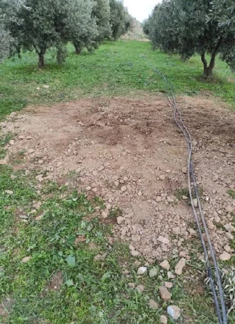 manisada-6-sahis-kacak-kazi-yaparken-sucustu-yakalandi-1640670998471.jpg Manisa’da 6 şahıs kaçak kazı yaparken suçüstü yakalandı - 3