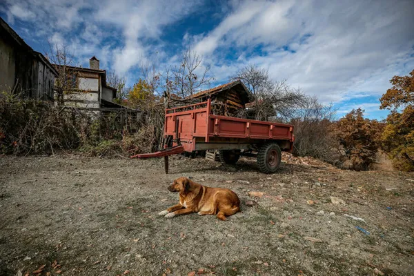 O mahallede hiç vaka görülmedi: Salgın sonrası nüfusu bir anda 10 katına çıktı