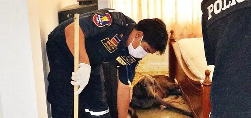 Sadakat açlığa kadar... Köpeği yüzünü yedi!