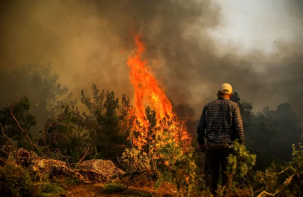 son-dakika-haberi-manavgattaki-yangini-cikaran-16-yasindaki-sahis-tutuklandi-1628009797332.jpg Son dakika haberi: Manavgat'taki yangını çıkaran 16 yaşındaki şahıs tutuklandı - 3