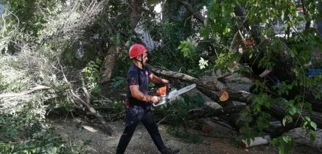 İstanbul’da çocuk parkında ağaç devrildi! Altında oturanlar kaçarak kurtuldu - 4