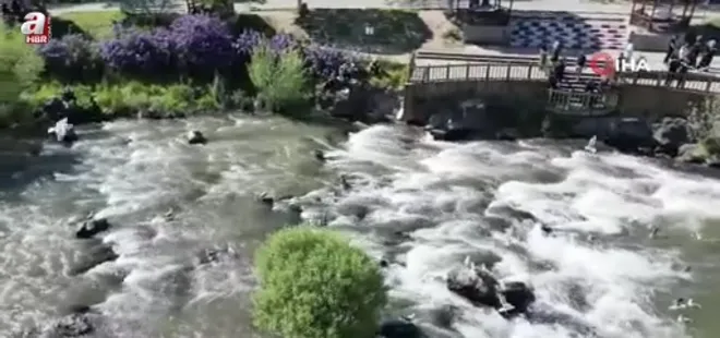 Van'da uçan balıkların göçüne yoğun ilgi