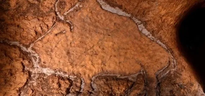 İspanya’da 14 bin yıllık hayvan resimleri bulundu