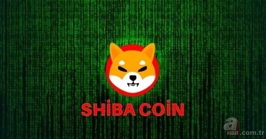 Shiba coine yeni tokenlerin etkisi... Shiba coin yakımı ne zaman? Shiba coin düşecek mi, artacak mı? 5