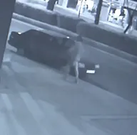 Dinlene dinlene böyle parçaladı