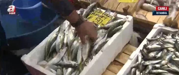 Balık tezgahlarında hangi balıklar var? Balık fiyatlarında son durum ne? Hamsi ne kadar?