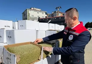 Binlerce kişiyi baklavayla zehirleyeceklerdi: Tekirdağ'da 2 ton aflatoksinli fıstık ele geçirildi