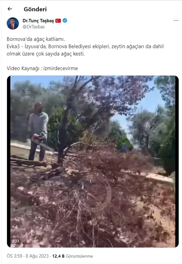 CHP'li Bornova Belediyesi'nden ağaç katliamı! Hani çevreciler neredesiniz? Bölge halkı isyanda: Allah sizi kahretsin - 5