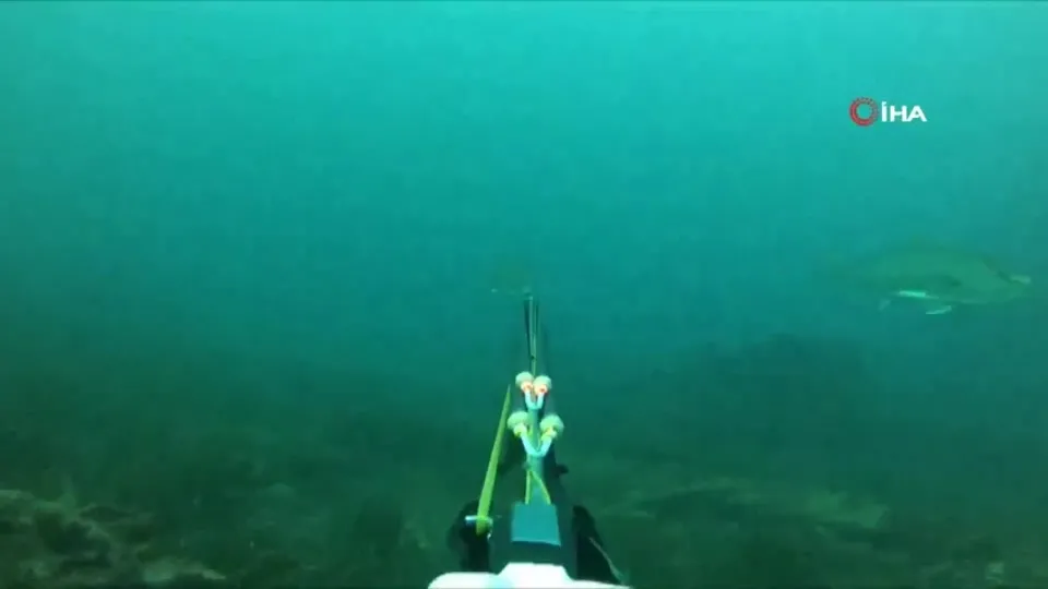 27 kiloluk dev akyayı böyle avladı