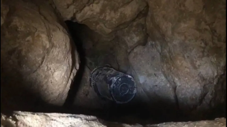 Atık su hattından bakın ne çıktı! İşçiler rögarda onları fark edince yetkililere haber verdi