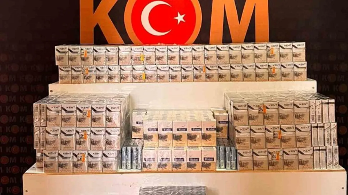 Erciş'te bin 700 paket gümrük kaçağı sigara ele geçirildi