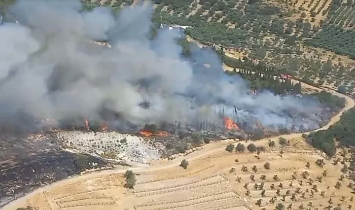 izmirde-orman-yangini-bir-bolgedeki-kontrol-altinda-bir-bolgede-yeni-basladi-1751015442564.jpeg Aliağa'da bir başka bölgede orman yangını çıktı. (DHA)