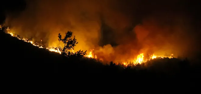 Manavgat’ta evini kurtarmak için alevlere meydan okudu! Ya ölecek ya kalacağız